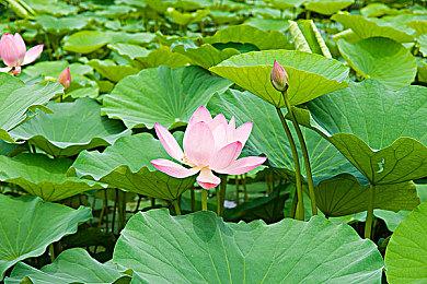 《极品飞车》新作暂停开发 但EA确认将会以有趣方式回归